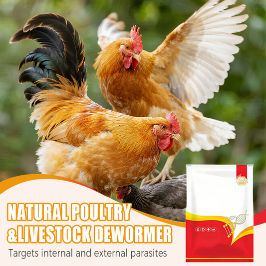 🐔 Vermifuge 100% Naturel pour Poulets : La Solution Complète Contre les Parasites Internes et Externes ! 🌿✨