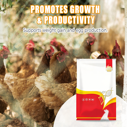 🐔 Vermifuge 100% Naturel pour Poulets : La Solution Complète Contre les Parasites Internes et Externes ! 🌿✨