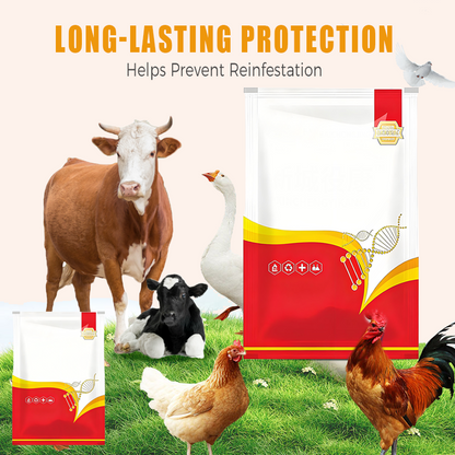 🐔 Vermifuge 100% Naturel pour Poulets : La Solution Complète Contre les Parasites Internes et Externes ! 🌿✨