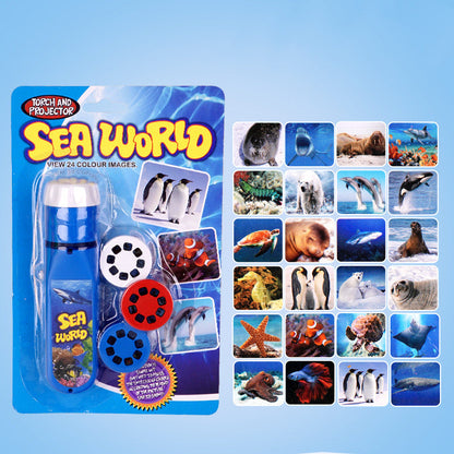 🎁SISTA DAGEN – 40 % DE RÉDUCTION !🦖Jouet éducatif avec projecteur et transparents thématiques
