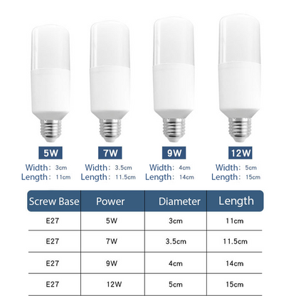 Ampoule LED longue durée à haut rendement lumineux