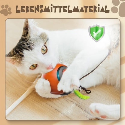 🖤Black Friday & Noël🎄Balle pour chat à capteur intelligent automatique