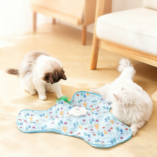 🔥⏰Économisez 30 € dès maintenant en achetant dès maintenant !🔥Jouet cache-cache 2 en 1 pour chat