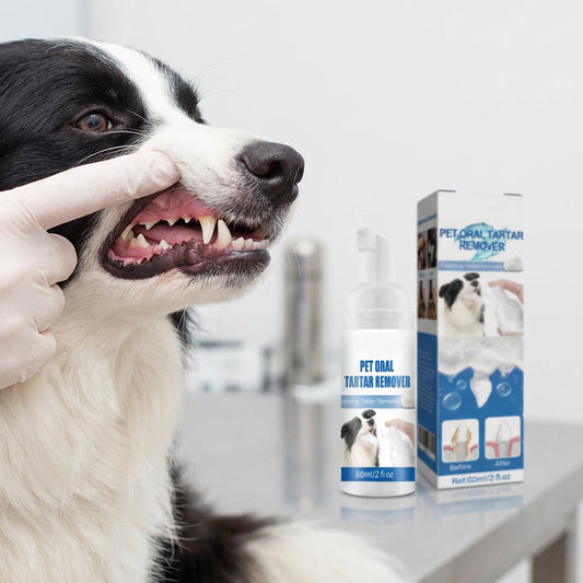 ✨ Mousse détartrante pour l'hygiène bucco-dentaire des animaux
