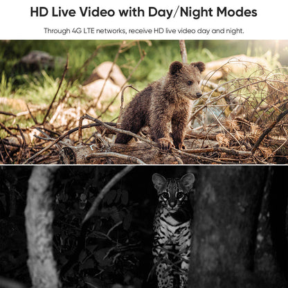 🔥🎥 Caméra de surveillance solaire 4G CB114S ✅ Vue en direct 2K HD, couverture à 360°, sans Wi-Fi ✅ Commande à distance par application, étanche, détection de mouvement, vision nocturne ✅ Idéale pour l’extérieur