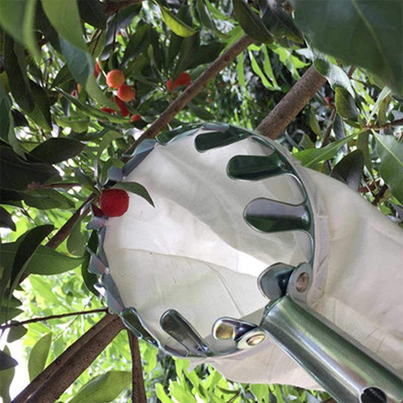 📢📢50 % DE RÉDUCTION !! ⏰Tête de cueille-fruits avec panier – Conception durable, fixation facile et parfaite pour atteindre les branches hautes sans échelle 🌳