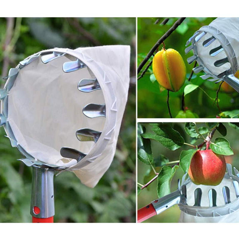 📢📢50 % DE RÉDUCTION !! ⏰Tête de cueille-fruits avec panier – Conception durable, fixation facile et parfaite pour atteindre les branches hautes sans échelle 🌳