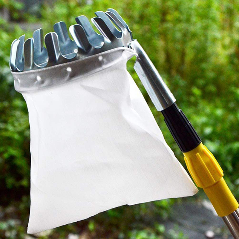 📢📢50 % DE RÉDUCTION !! ⏰Tête de cueille-fruits avec panier – Conception durable, fixation facile et parfaite pour atteindre les branches hautes sans échelle 🌳