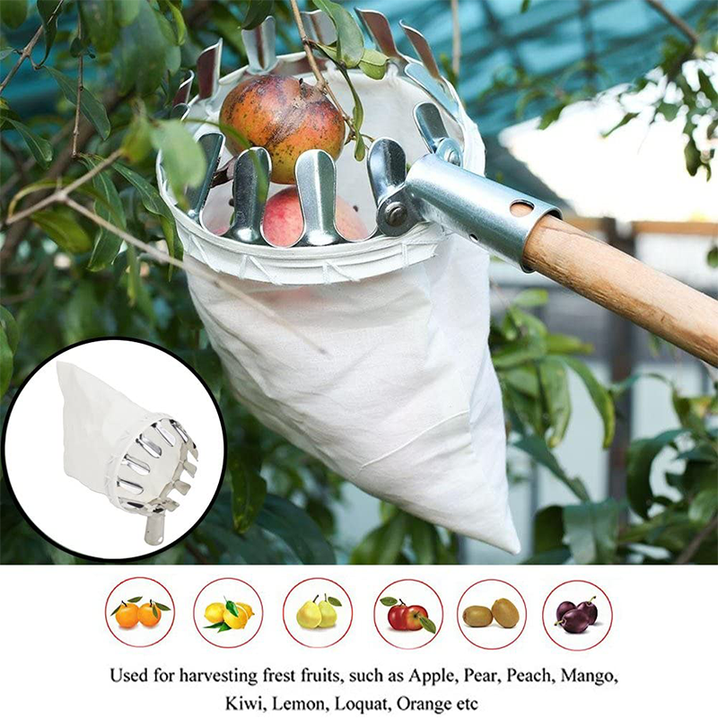 📢📢50 % DE RÉDUCTION !! ⏰Tête de cueille-fruits avec panier – Conception durable, fixation facile et parfaite pour atteindre les branches hautes sans échelle 🌳