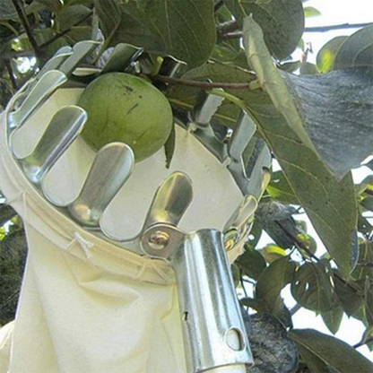 📢📢50 % DE RÉDUCTION !! ⏰Tête de cueille-fruits avec panier – Conception durable, fixation facile et parfaite pour atteindre les branches hautes sans échelle 🌳