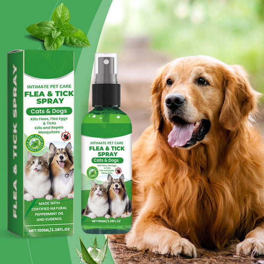 🍃Spray naturel anti-puces et anti-tiques pour chiens et chats🐾 Protégez votre animal de compagnie bien-aimé contre les parasites