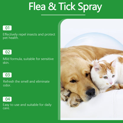 🍃Spray naturel anti-puces et anti-tiques pour chiens et chats🐾 Protégez votre animal de compagnie bien-aimé contre les parasites