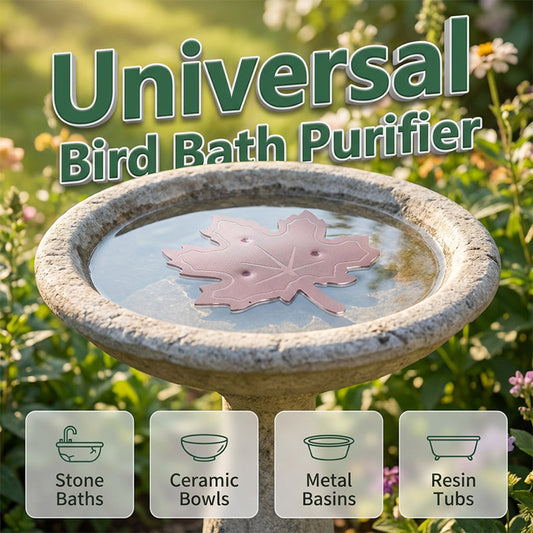 ⏳Offre spéciale temporaire⏰Nettoyant universel pour bains d'oiseaux