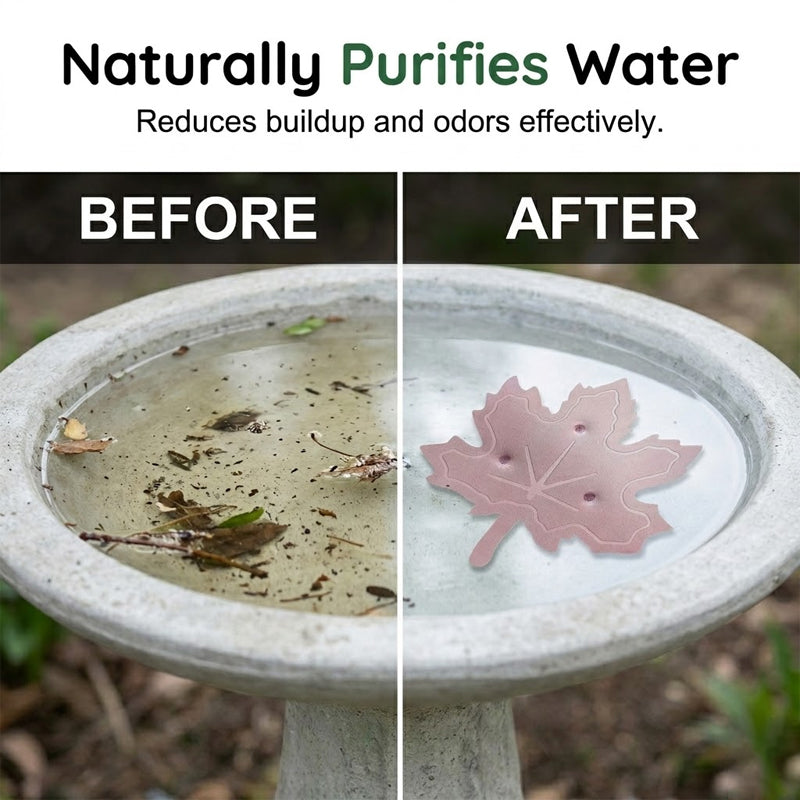 Purificateur universel pour bain d’oiseaux en forme de feuille d’érable