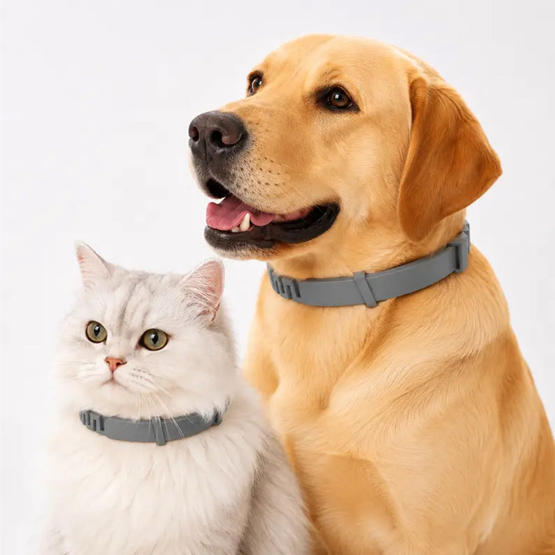 Colliers anti-puces et anti-tiques réglables pour chiens et chats