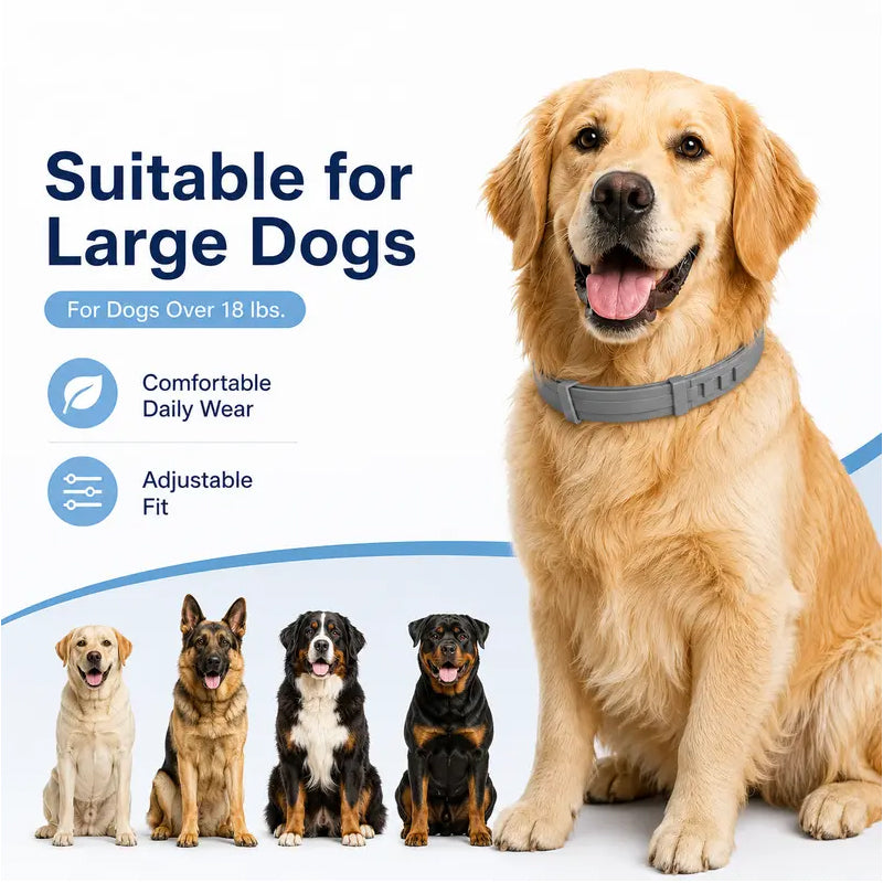 Colliers anti-puces et anti-tiques réglables pour chiens et chats
