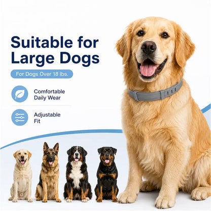 Colliers anti-puces et anti-tiques réglables pour chiens et chats