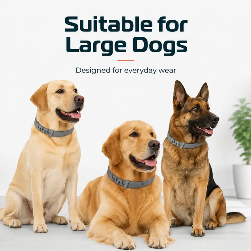 Colliers anti-puces et anti-tiques réglables pour chiens et chats