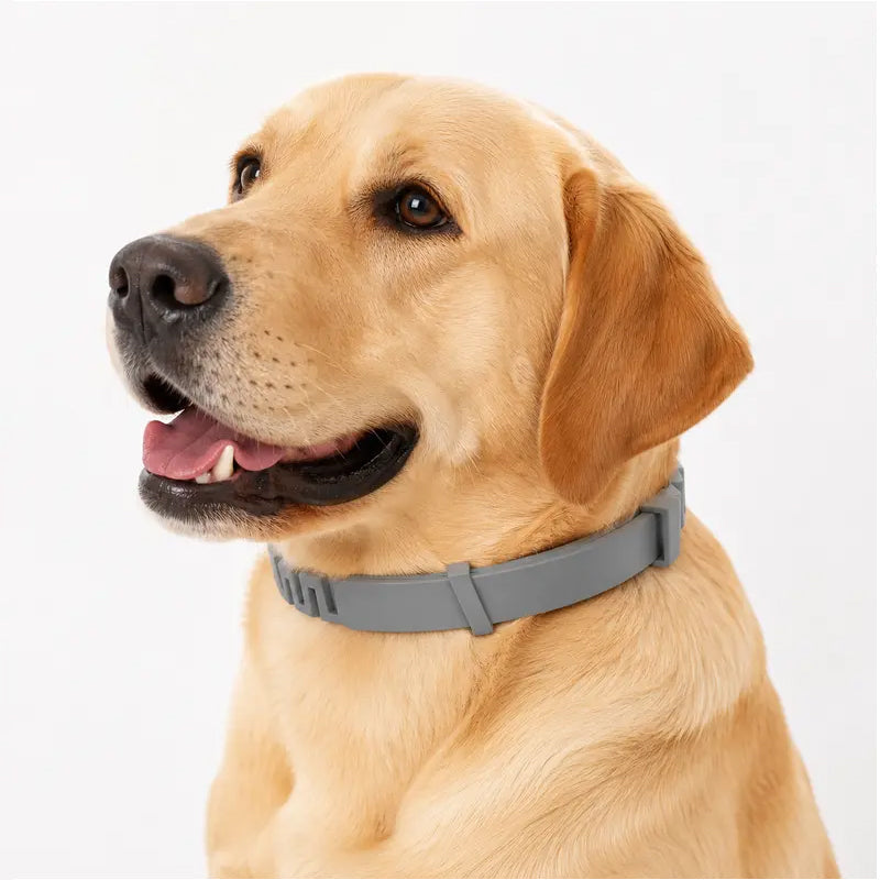 Colliers anti-puces et anti-tiques réglables pour chiens et chats
