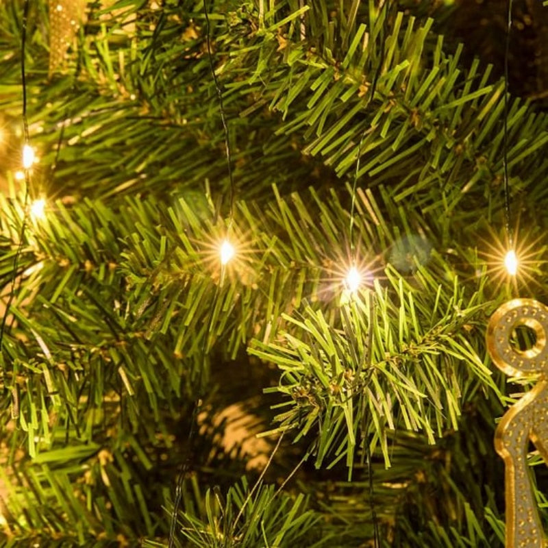 Guirlande lumineuse LED « Firefly Twinkle »