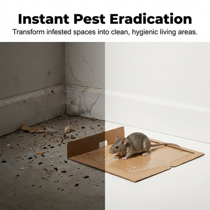 ⏰50 % DE RÉDUCTION MAINTENANT !⛹️Livraison rapide 🚚💨Colle haute viscosité pour souris et rats
