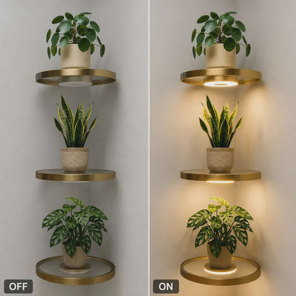 Étagère murale flottante avec éclairage LED d'ambiance intégré