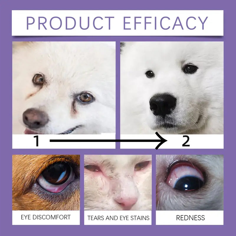 🔥Promotion exceptionnelle : 50 % de réduction🔥 Solution de rinçage douce pour les yeux des chiens et des chats – Sans alcool, élimine les impuretés, 150 ml 🐶