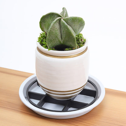 🌿🌹 Surhélève-Pot Protecteur de Racines – élève les jardiniers, favorise la circulation d’air, garde les sols propres – usage intérieur & extérieur. 🔥🏠