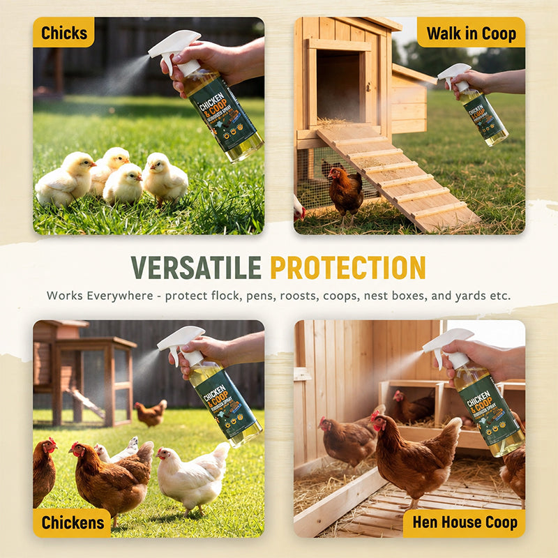 ⏳ DERNIER JOUR DE PROMOTION : 50 % DE RÉDUCTION ! 🔥 Spray nettoyant naturel pour poulaillers 🐔 Aide à éliminer la saleté, la crasse et les odeurs | Facile à utiliser et idéal pour les poulaillers