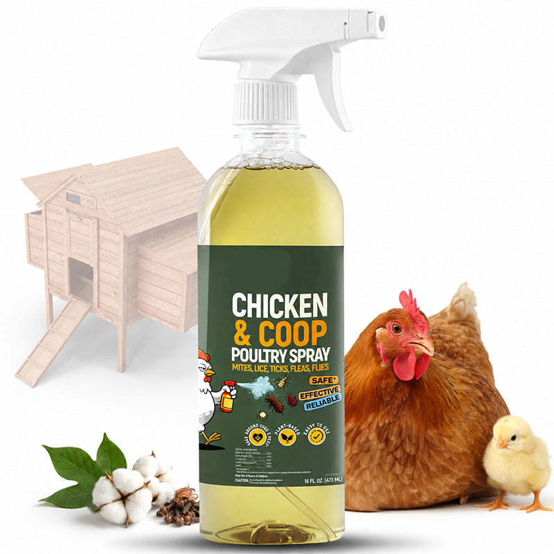 ⏳ DERNIER JOUR DE PROMOTION : 50 % DE RÉDUCTION ! 🔥 Spray nettoyant naturel pour poulaillers 🐔 Aide à éliminer la saleté, la crasse et les odeurs | Facile à utiliser et idéal pour les poulaillers