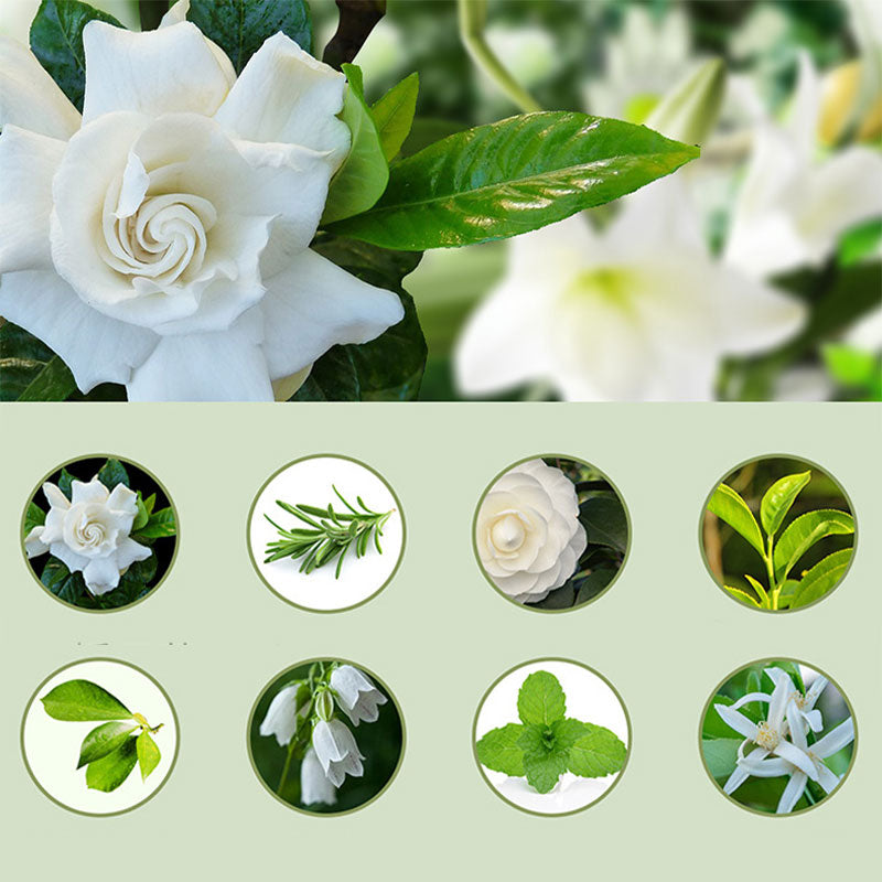 🌬️🌸 -60% ! 🏡Diffuseur d'Aromathérapie Automatique – Silencieux, Diffusion Régulière & Ambiance Parfumée.