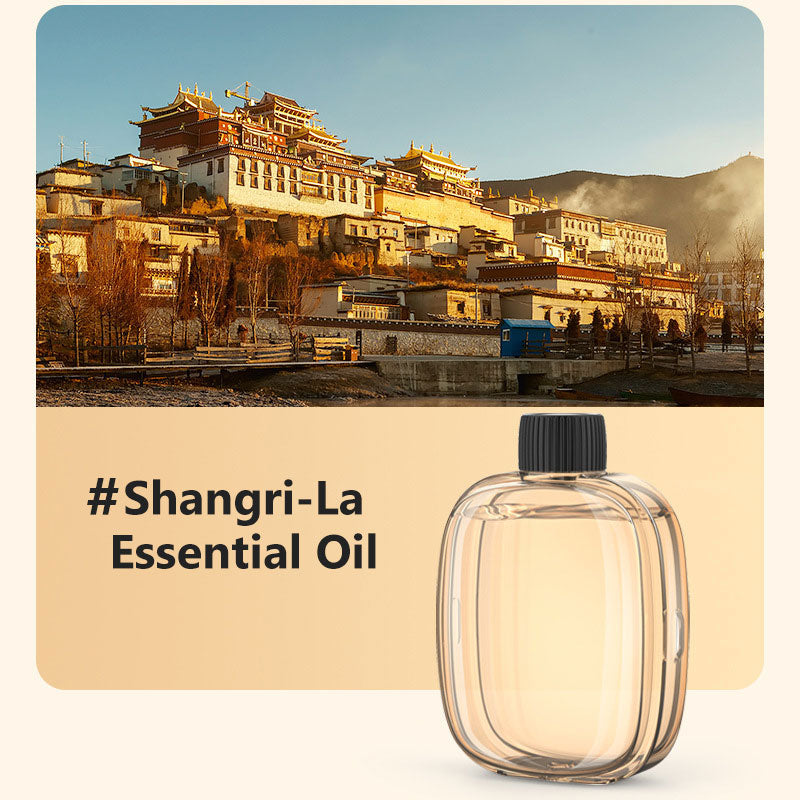 🌬️🌸 -60% ! 🏡Diffuseur d'Aromathérapie Automatique – Silencieux, Diffusion Régulière & Ambiance Parfumée.