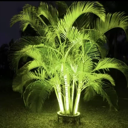 🌳 50% DE RÉDUCTION! 💡 Éclairage annulaire pour arbres – Spots étanches, lumière chaleureuse & design discret – Transforme votre jardin en allée féerique la nuit ✨