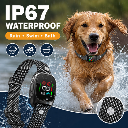 Collier anti-aboiement intelligent pour chiens