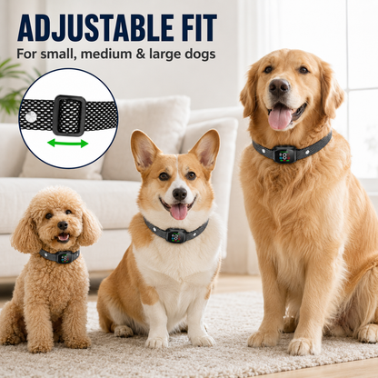 Collier anti-aboiement intelligent pour chiens