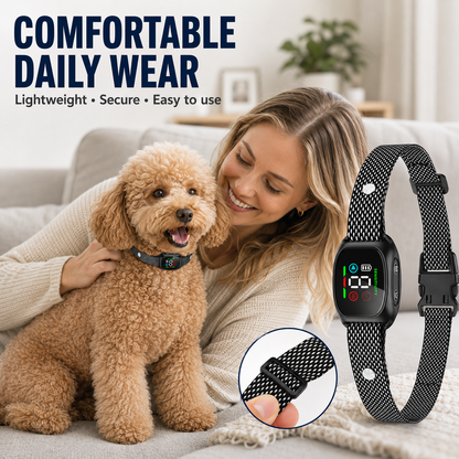 Collier anti-aboiement intelligent pour chiens
