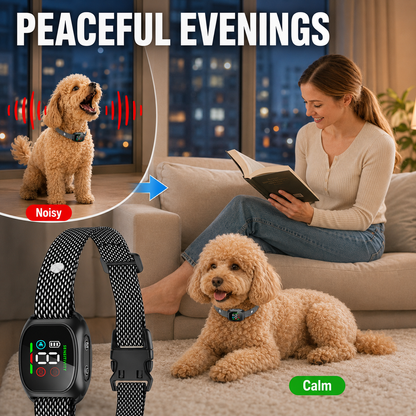 Collier anti-aboiement intelligent pour chiens