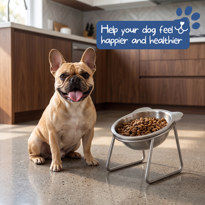 ✨‑50% OFF✨ Gamelle orthopédique inclinée 15° 🐱🐶 Moins de tension au cou, repas facile pour vos compagnons domestiques 💖