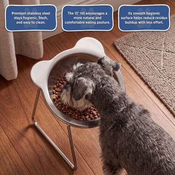 ✨‑50% OFF✨ Gamelle orthopédique inclinée 15° 🐱🐶 Moins de tension au cou, repas facile pour vos compagnons domestiques 💖