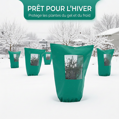 50% de Réduction – Housse Hivernage Plantes Anti-Gel