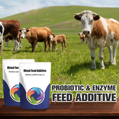 Additif alimentaire probiotique et enzymatique