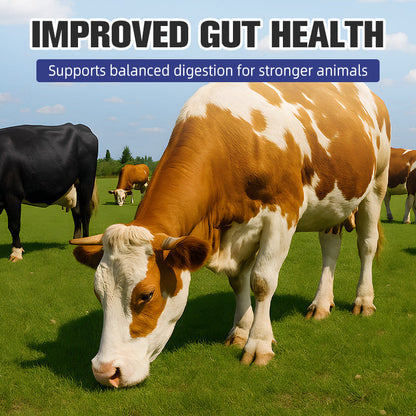 Additif alimentaire probiotique et enzymatique