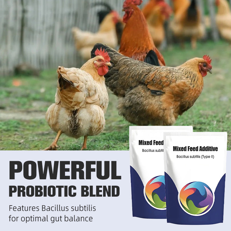 Additif alimentaire probiotique et enzymatique