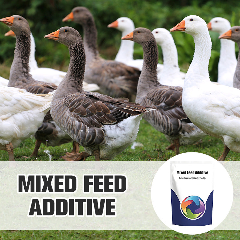 Additif alimentaire probiotique et enzymatique