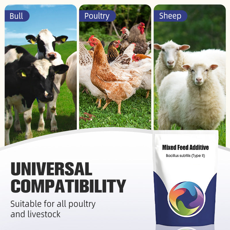 Additif alimentaire probiotique et enzymatique