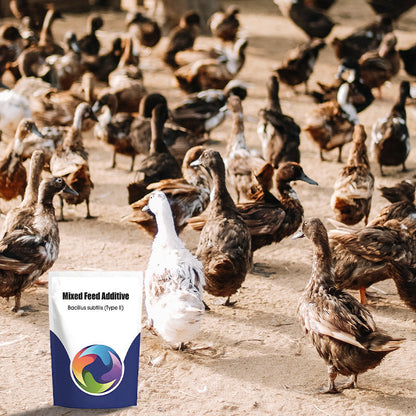 Additif alimentaire probiotique et enzymatique