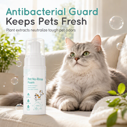 🥳VENTE FLASH 2026 -70% !💞50K+ VENDUS !🐶Rafraîchissez vos animaux instantanément ! Mousse Nettoyante Sans Rinçage et Sans Eau pour Animaux