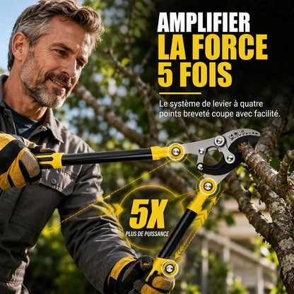 🌳 50% DE RÉDUCTION MAINTENANT ! ✂️ Sécateurs épais pour jardin – Levier à effet compound, acier trempé et aluminium de qualité aviation – Pour branches épaisses et arbres fruitiers 💪