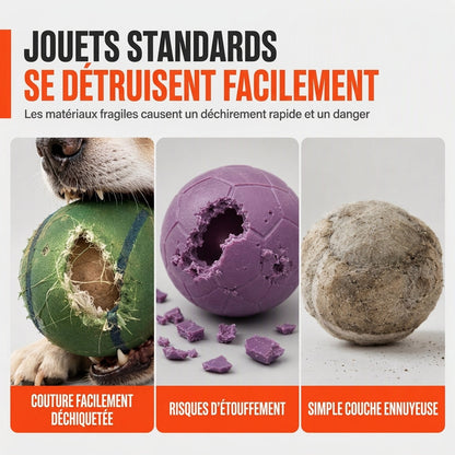 Balle de foot interactive pour chien avec poignées de préhension