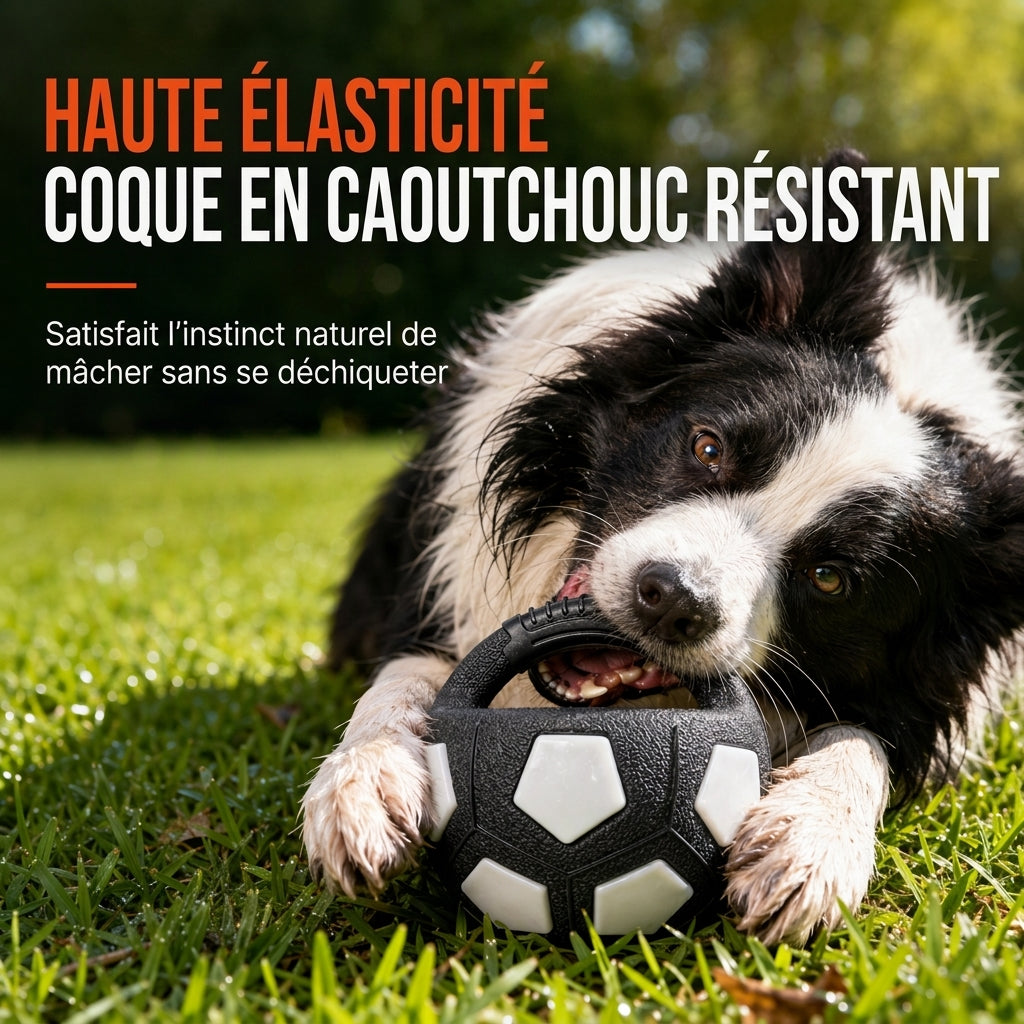 Balle de foot interactive pour chien avec poignées de préhension